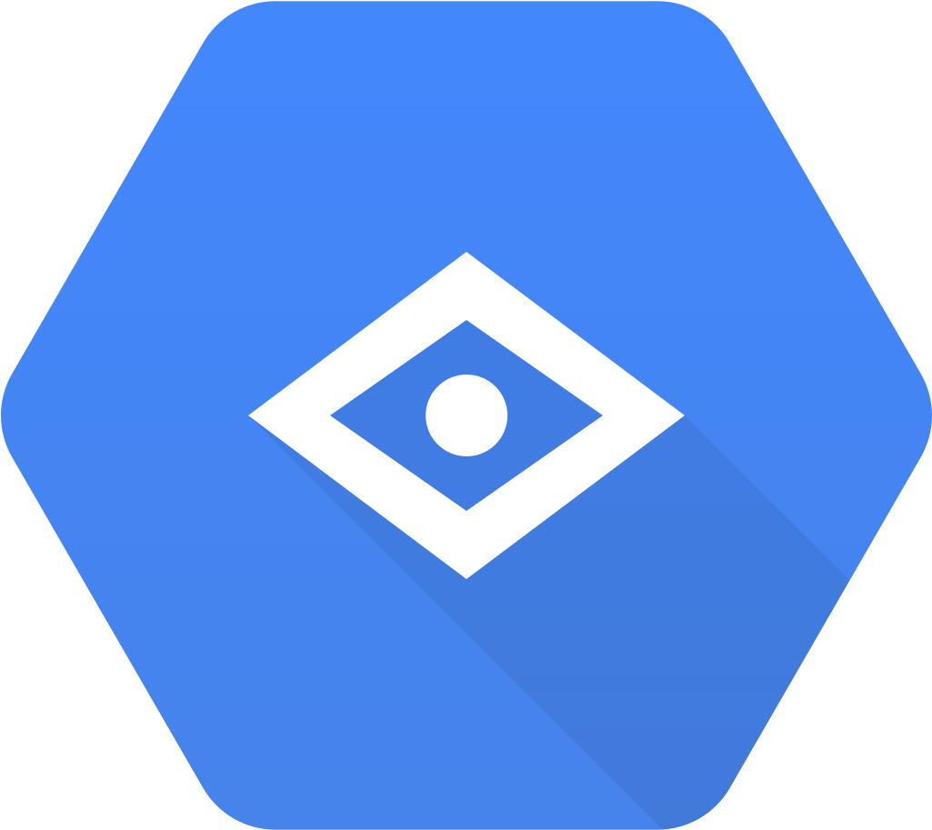 google-vision-logo